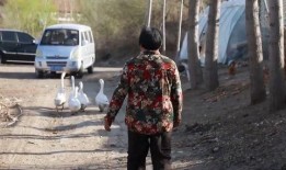 爆料张翰徐璐事件视频,真相揭秘，情感纠葛引热议